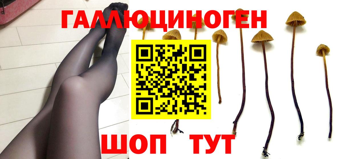 Галлюциногенные грибы Psilocybine cubensis  Псилоцибиновые грибы ЛСД  Вход с VPN  Донецк 